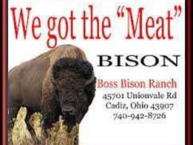 Boss Bison Ranch