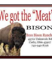 Boss Bison Ranch
